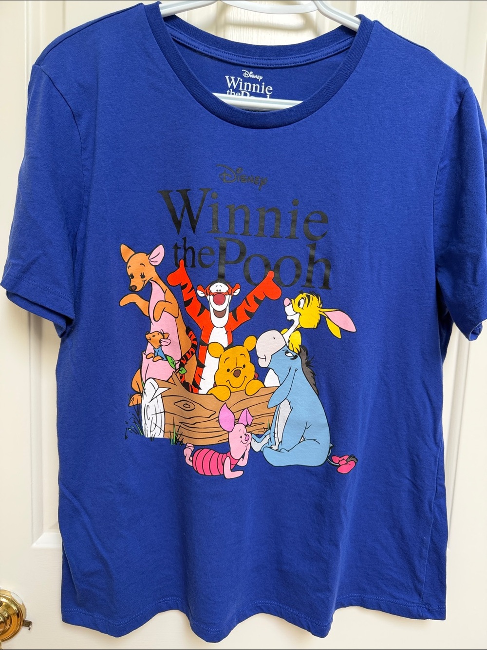 Disney Winnie The Pooh sz XL Royal Blue Purple short sleeve tee Tigger Eeyore